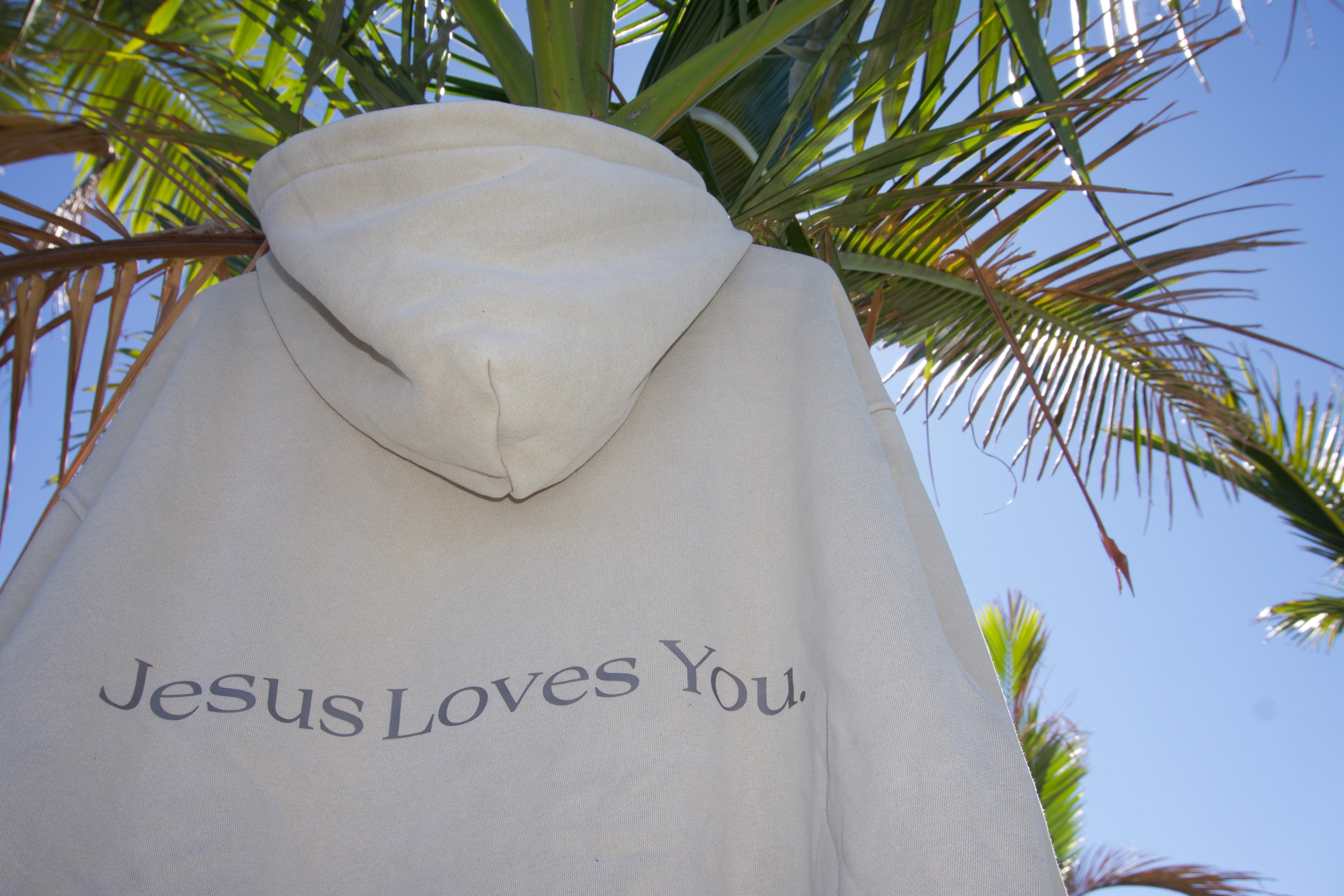 Hoodie,SWAG